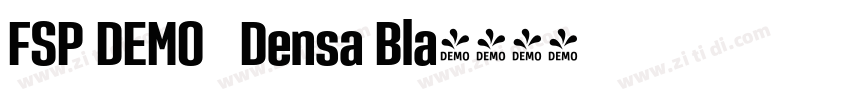 FSP DEMO   Densa Bla字体转换